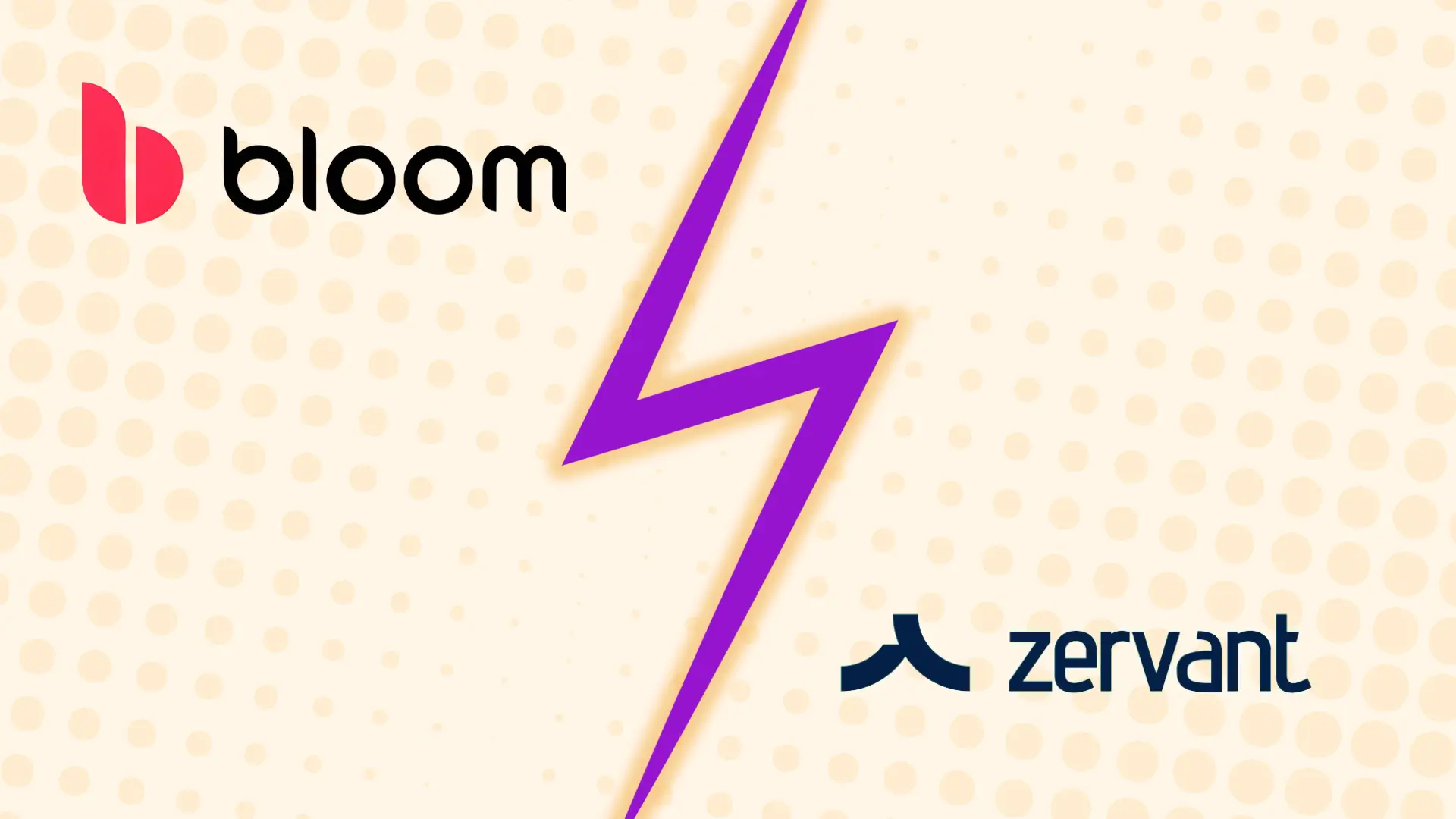 Bloom vs Zervant